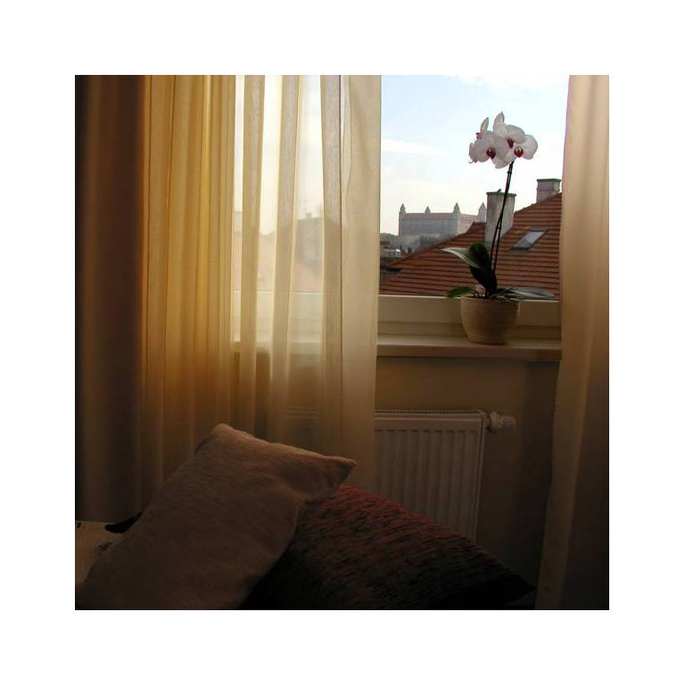 Best Western Hotel Antares 