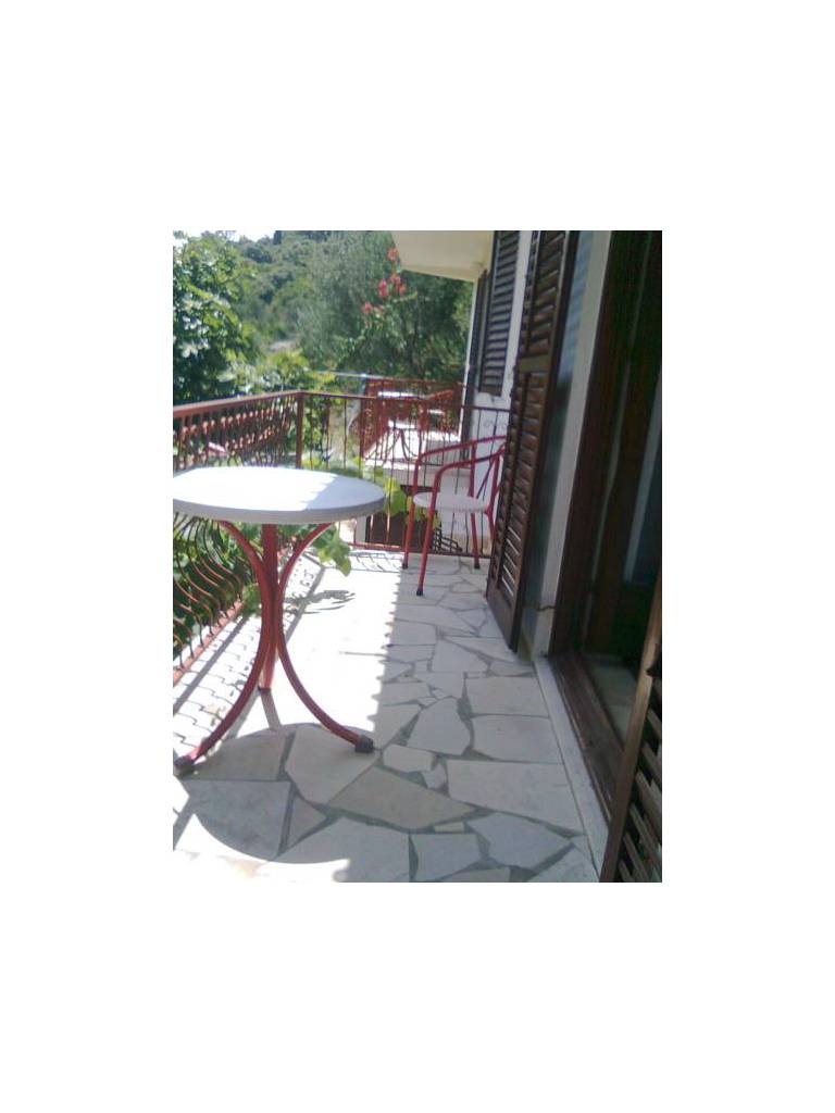 Apartments and Rooms Basic 