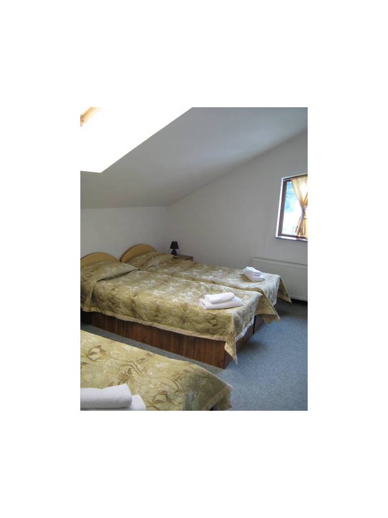 Family Hotel Forest Star 