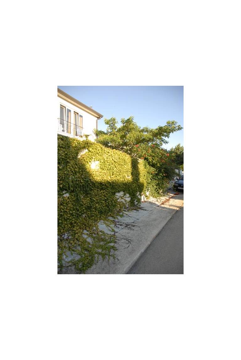 Apartments & Villa Darko 