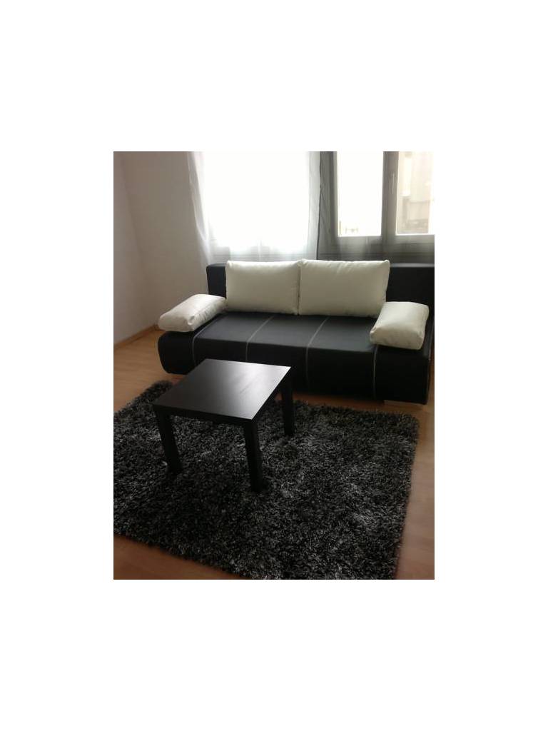 Swiss Holidays Apartment 