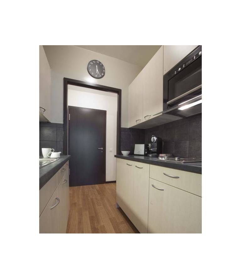 Luxury Apartments Geneva 