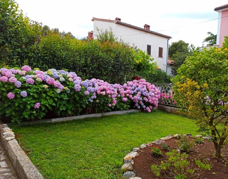 Apartments Villa Katana