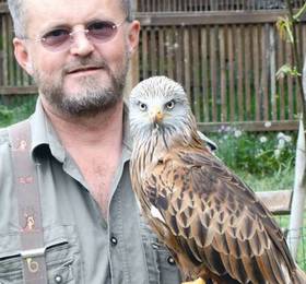 Туры в Ferienwohnung Pedevilla  в Австрии