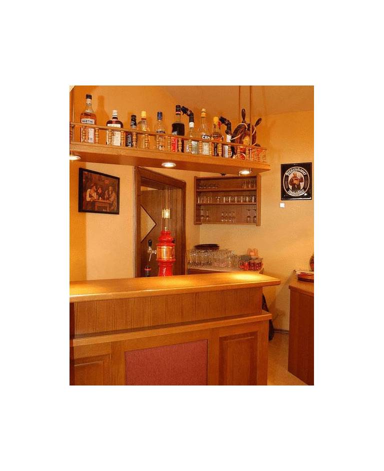 Apparthotel Gamsspitzl 