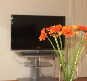 Belvedere Appartements в Вене