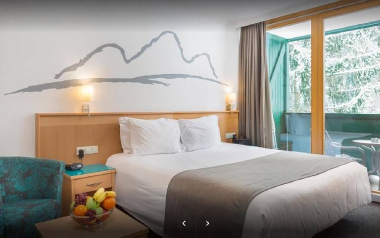 Alpine Club Apartments 