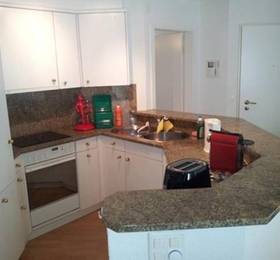 Туры в Friesenberg Apartment  в Швейцарии