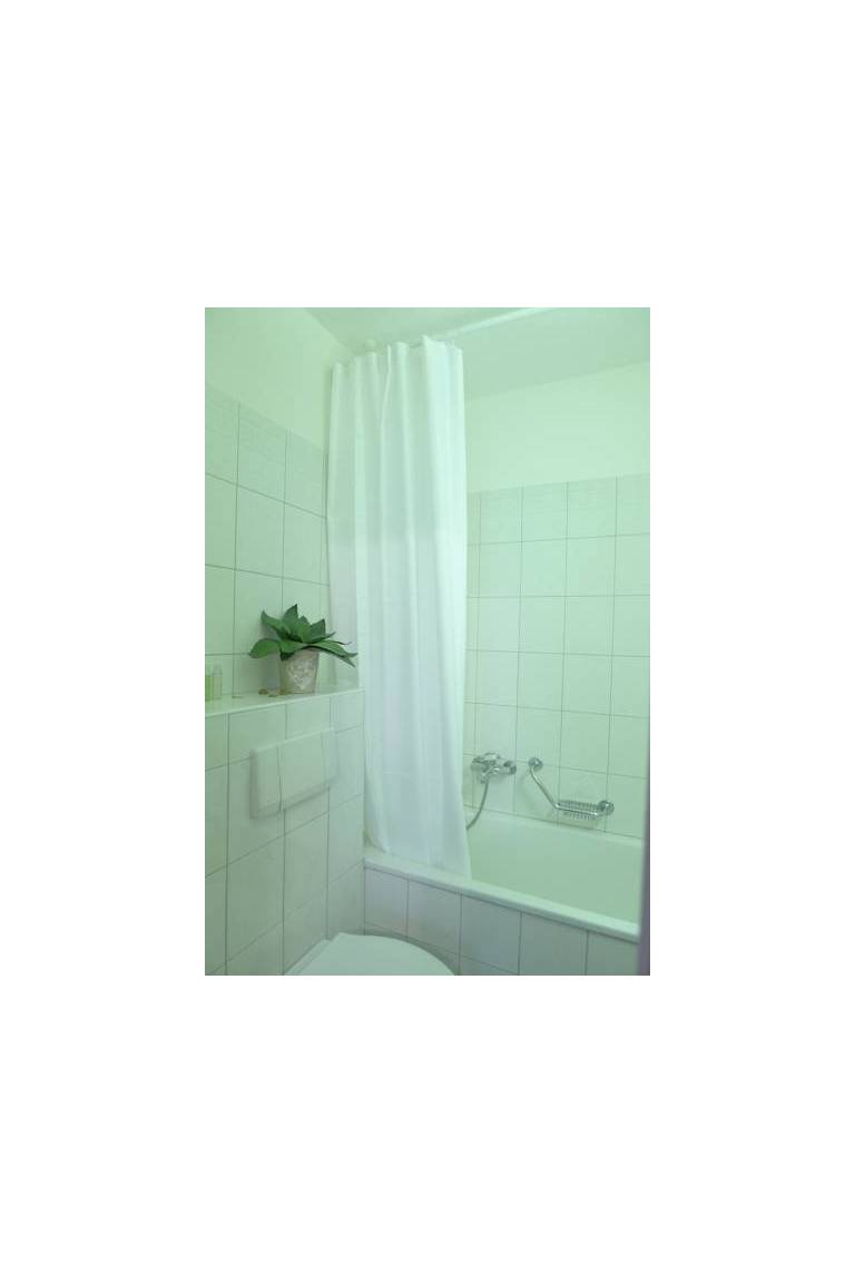 Apartment Limmatsoda 