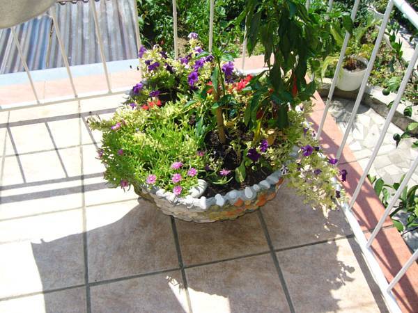 Apartments Djurkovic 3* Хорватия, Млини