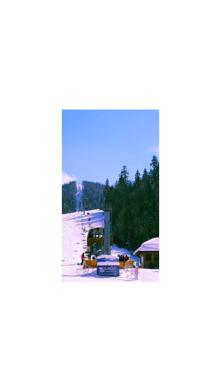 The Log Cabin Minic 