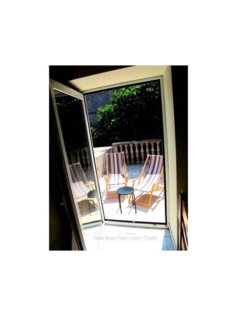 The Wild Fig Hostel 