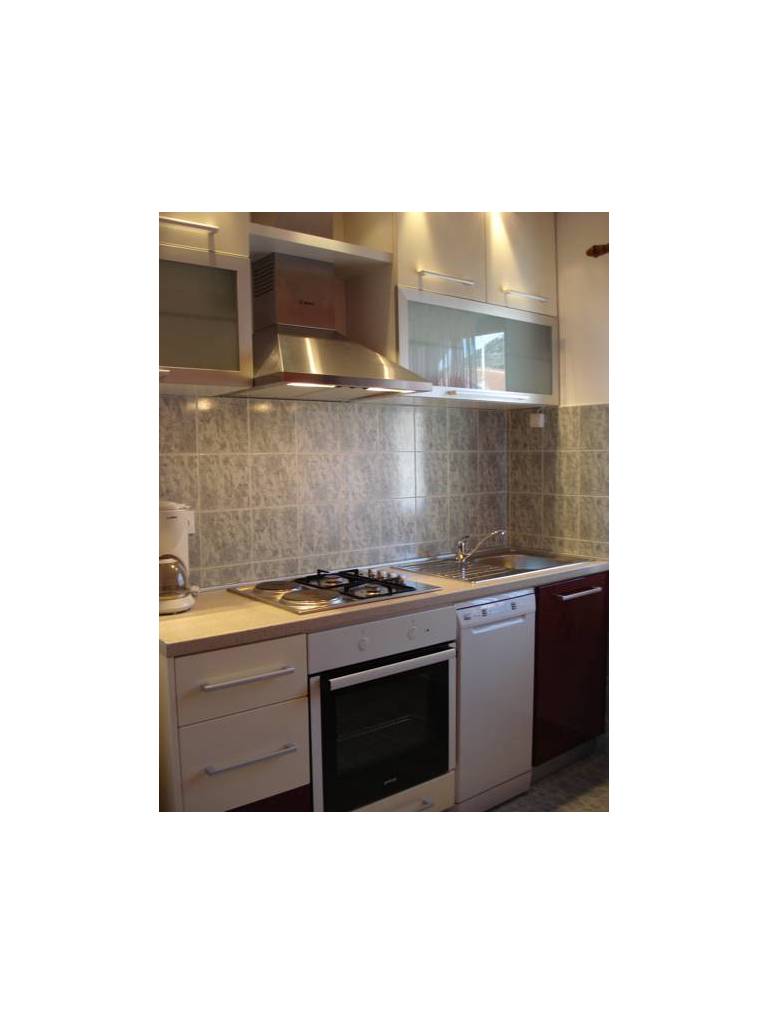 Apartments Bodlovic 