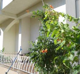 Отдых в Apartments Stana S  - Хорватия, Водице