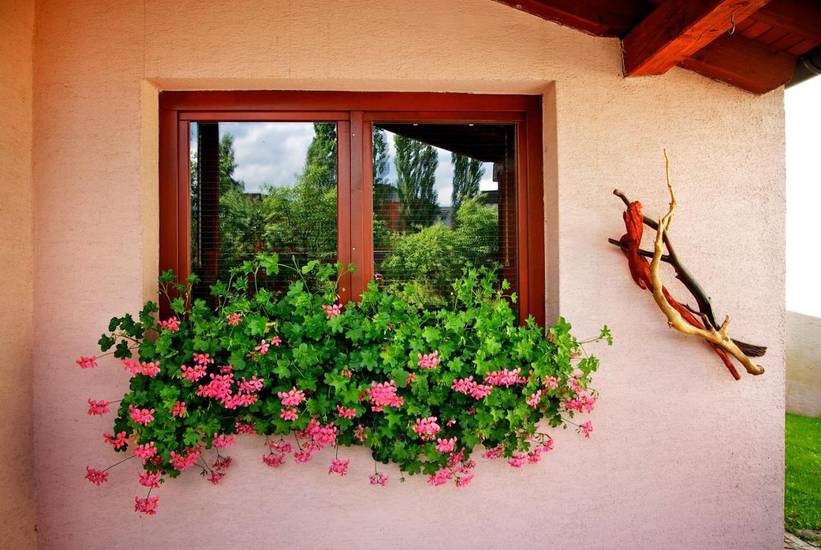 Penzion Plesnivec  3* Словакия, Попрад