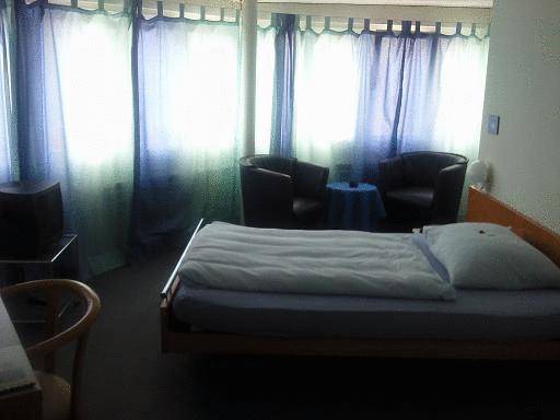 Hotel White Horse 3* Швейцария, Базель