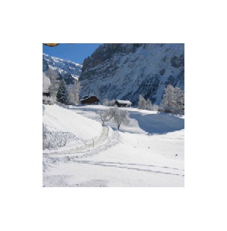 Chalet Alpendohle 