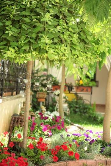 Joleks Apartments  1* Македония, Охрид