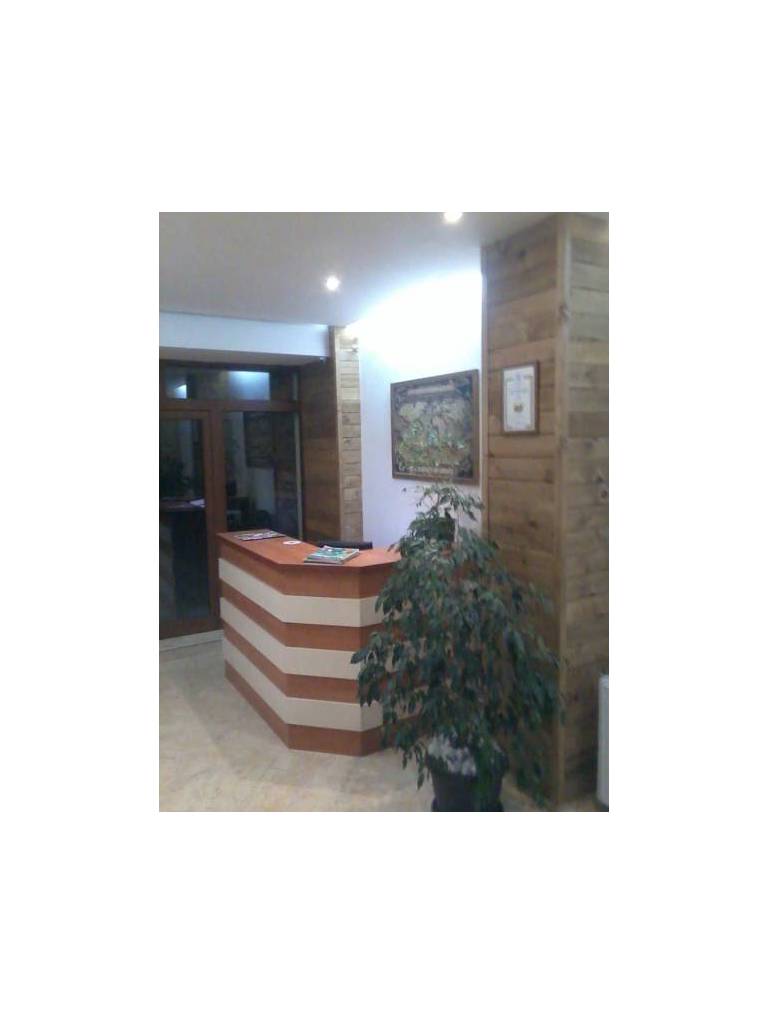 Ski Villa Bizeff 