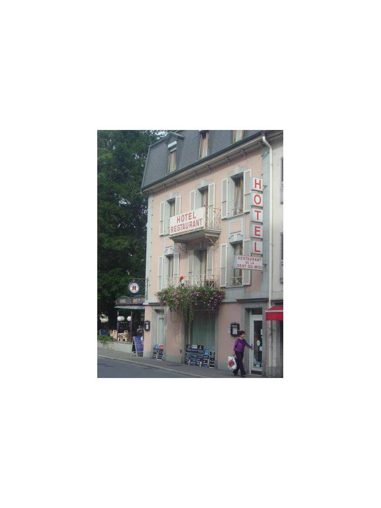 La Dent-du-Midi 