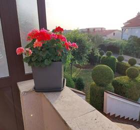 Apartments Duda  в Пуле