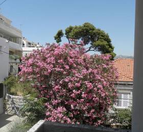 Rooms La Mirage  в Дубровнике