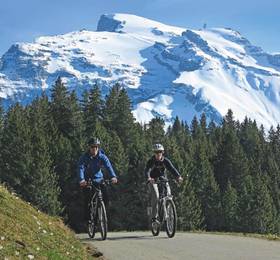 Туры в Hotel Engelberg в Швейцарии