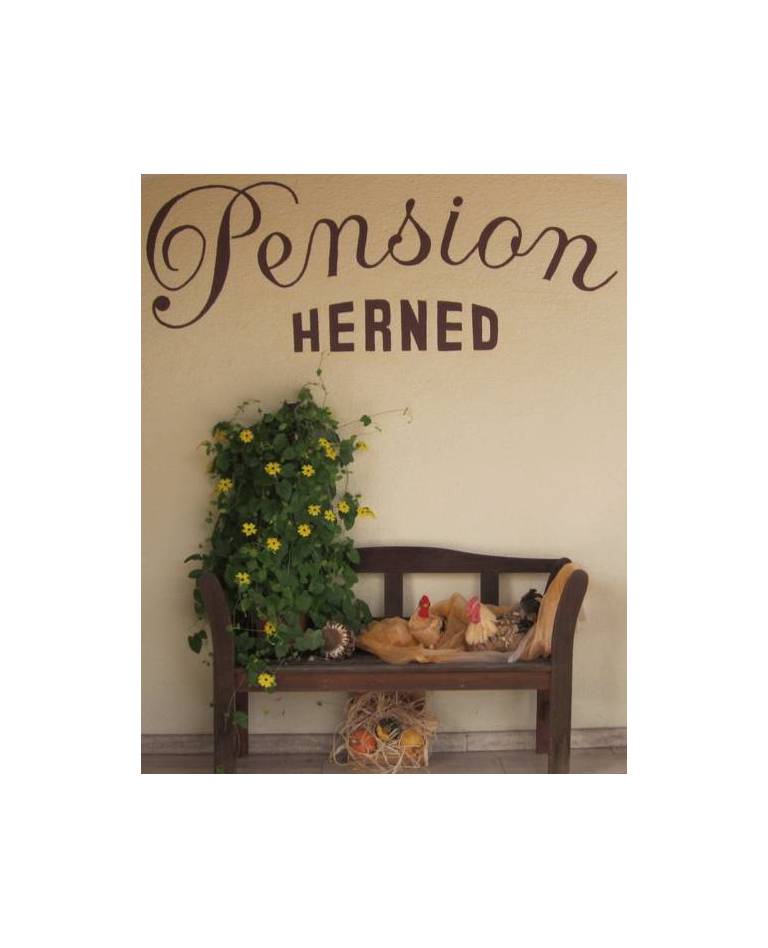 Pension Herned 