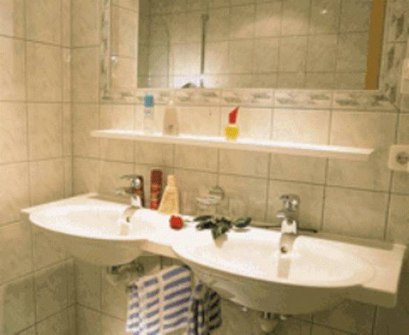 Pension Alwin 4*