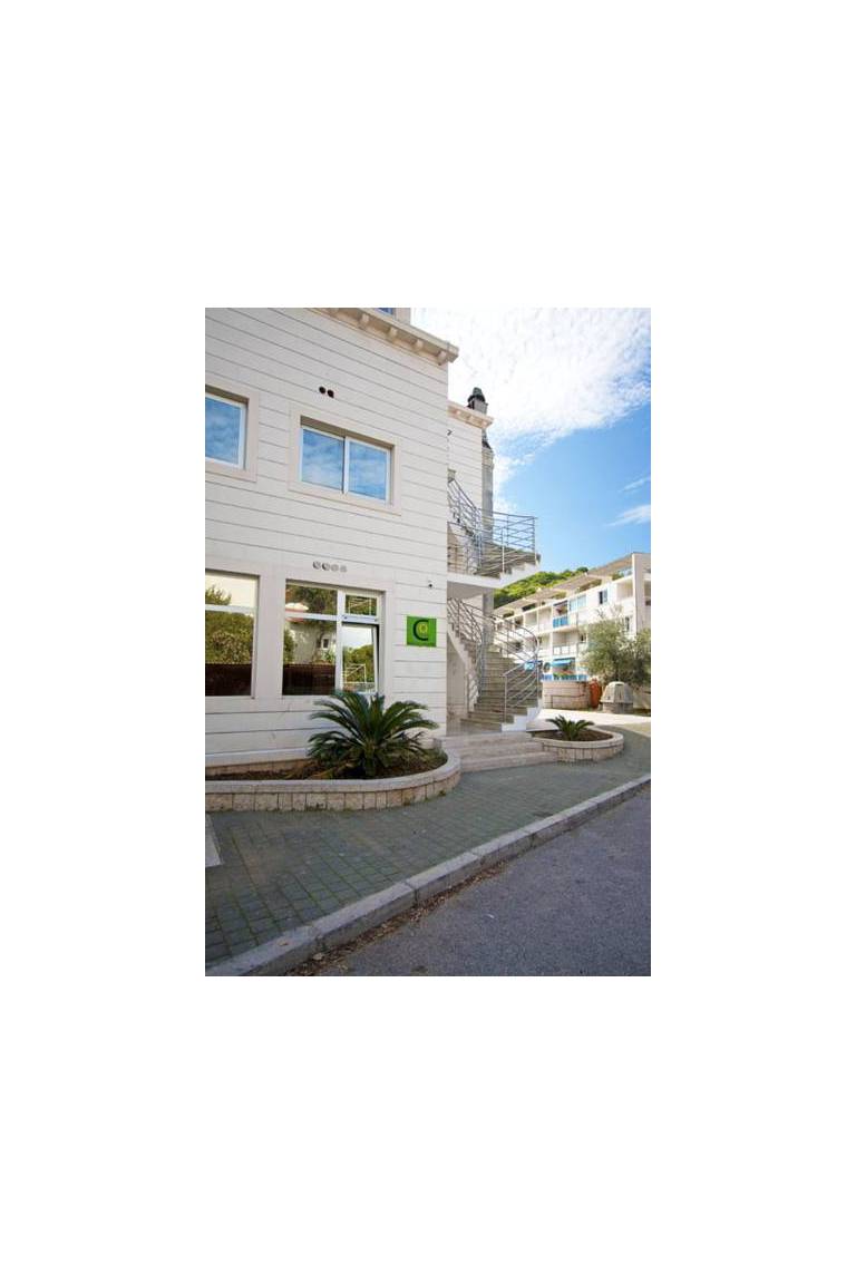 Cocoon Hostel 