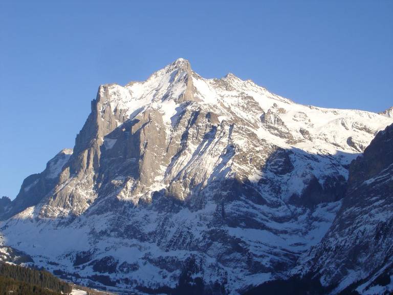 Chalet Spinne 
