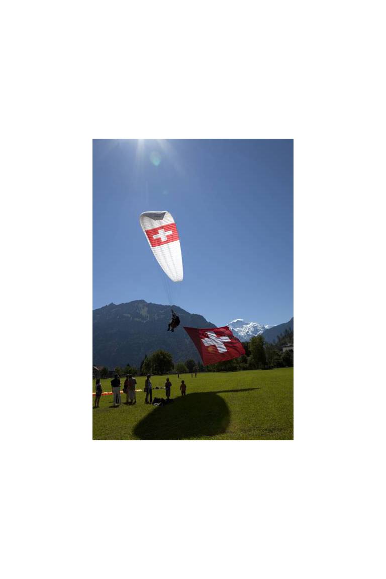 Hotel Alphorn 