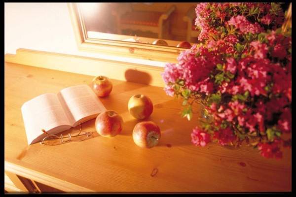 Hotel Theodul 4* Австрия, Лех