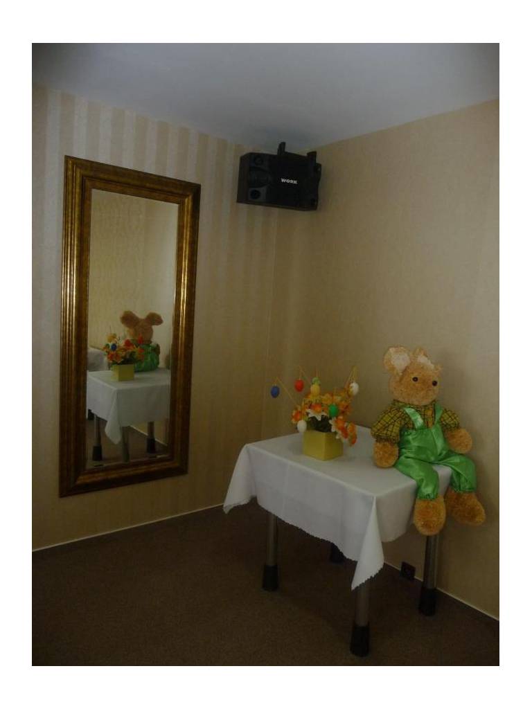 Hotel Tereza 