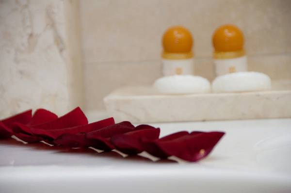 Opera Suites