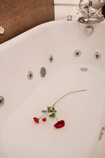Villa Rococo  4* Сербия, Белград