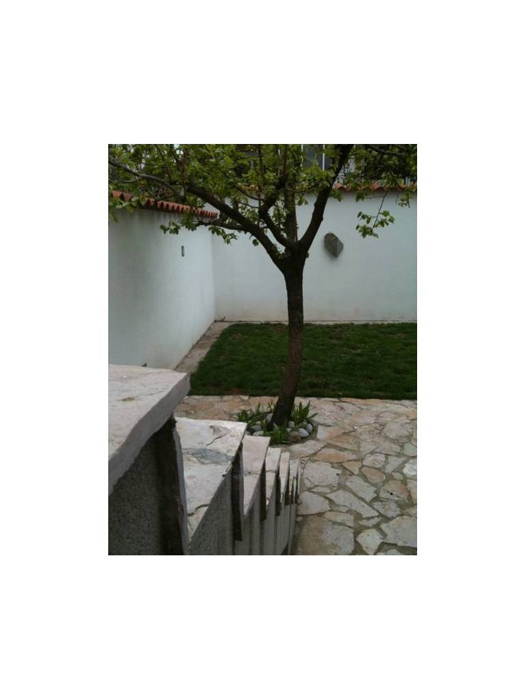 Casa Mostar 