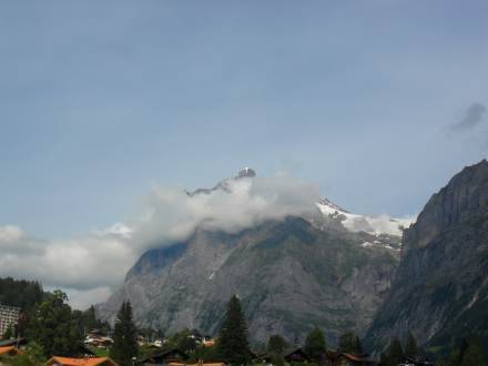 Chalet Gidi 3* Швейцария, Гриндельвальд