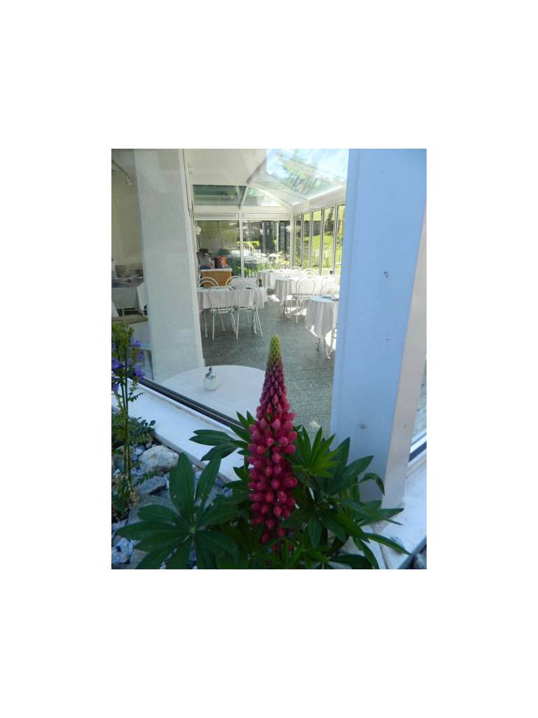 Hotel Bijou 