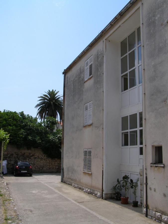 Luma Studio