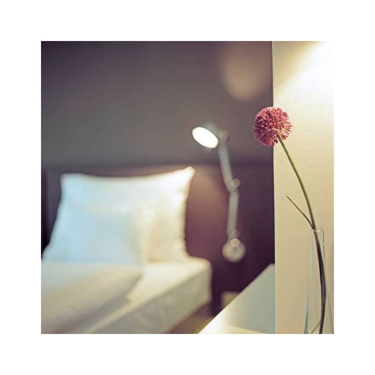 Roomz Graz