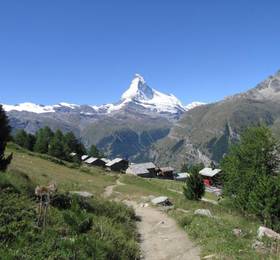 Apartment Dianthus Zermatt в Церматте
