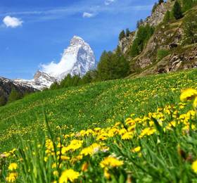 Отдых в Apartment Luchre Zermatt - Швейцария, Церматт