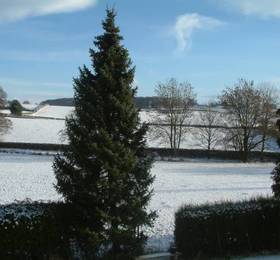 Туры в Millers Beck Country Guest House and Self Catering  в Великобритании