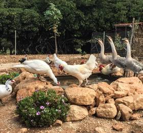 Туры в Azienda Agrituristica Tenuta Pizzolungo в Италии