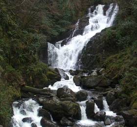 Туры в Carranross House Bed & Breakfast  в Ирландии