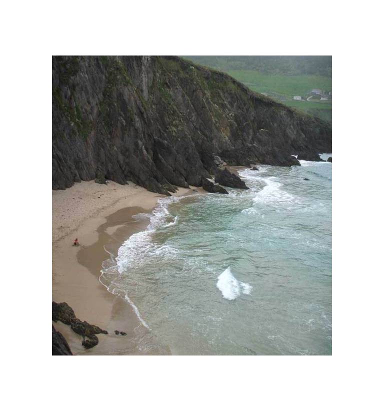 Carranross House Bed & Breakfast 