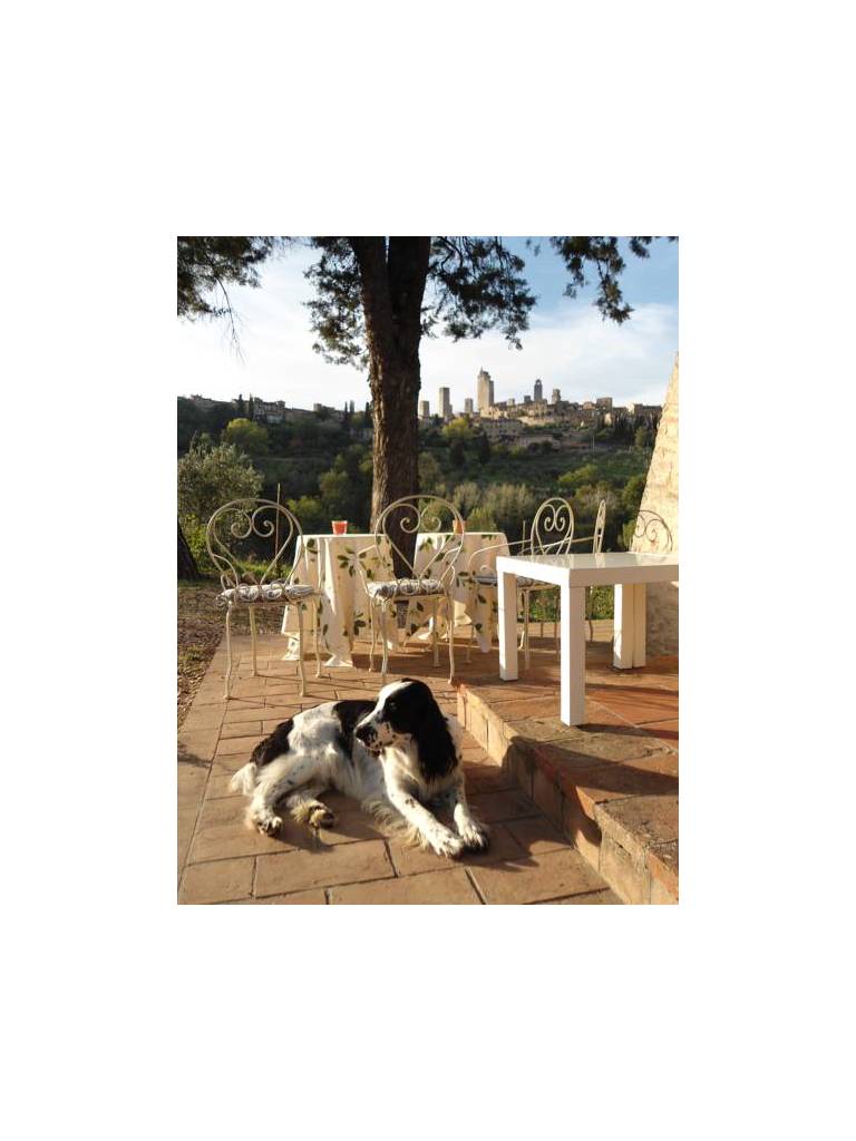 Agriturismo Sulle Orme Di Dante 