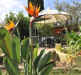 Butterfly House Bed & Breakfast  в Альгеро