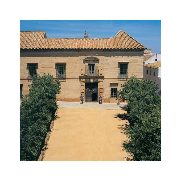 Casa Palacio Casa De Carmona 